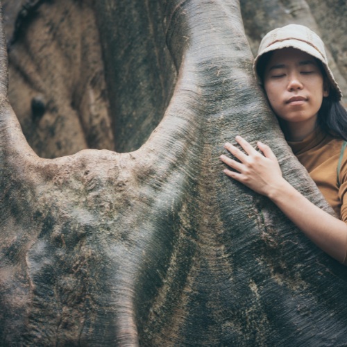 Árbol Sanador2 en AstrosyTarot con Aiyanna