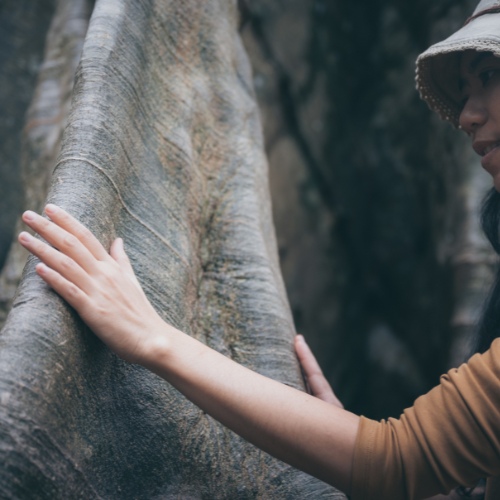 Árbol Sanador6 en AstrosyTarot con Aiyanna